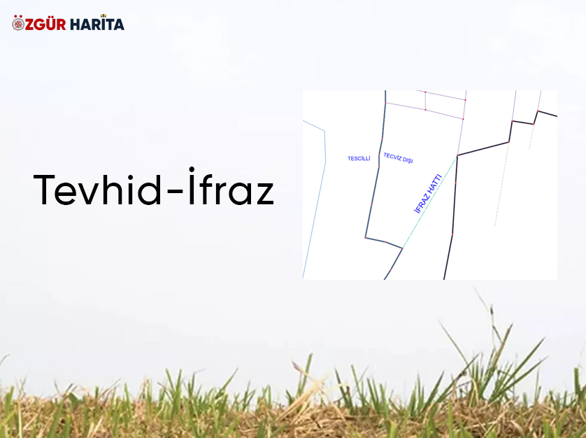 Tevhid-İfraz Hizmeti